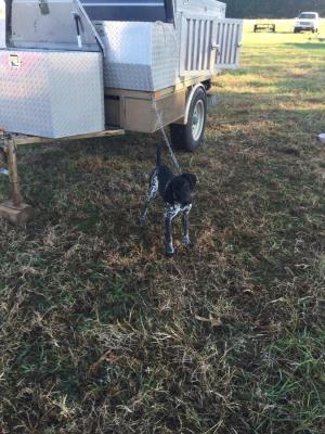 Female pup from first litter Female pup from first litter