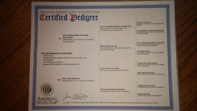 Dam: Ida Pedigree Dam: Ida Pedigree