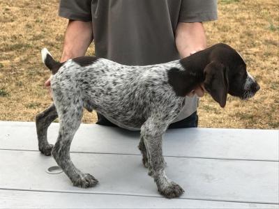 Male 1 Male 1