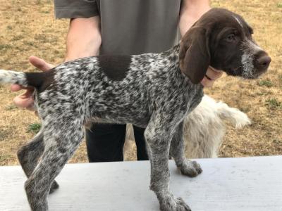 Male 2 Male 2
