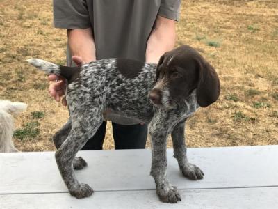 Male 2 Male 2