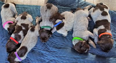 4 Male
3 Female 4 Male
3 Female