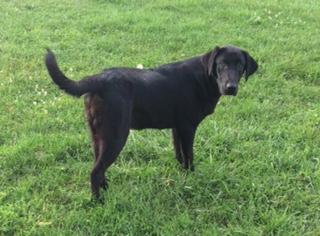 10 Month old Female 10 Month old Female