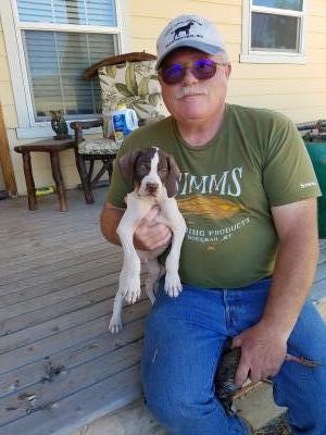 https://youtu.be/BnwZdoESQNo
This video is of puppy with a chukar https://youtu.be/BnwZdoESQNo
This video is of puppy with a chukar