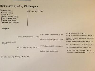 Dam's pedigree Dam's pedigree