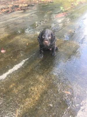 ...after a swim. ...after a swim.