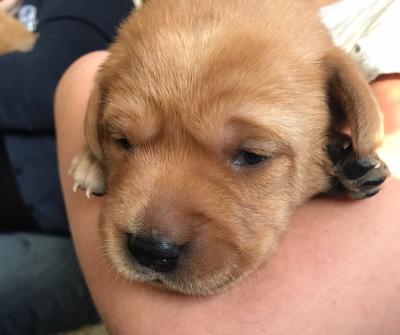 Eyes open today Eyes open today