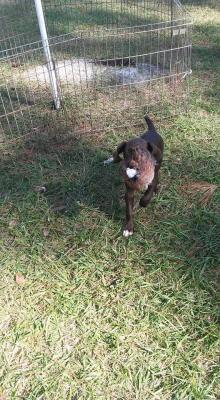 Retrieving Retrieving