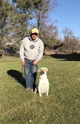 The Litter Dam: Johnsonlabs Skys The Limit The Litter Dam: Johnsonlabs Skys The Limit