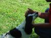 mom of litter loves to be loved mom of litter loves to be loved
