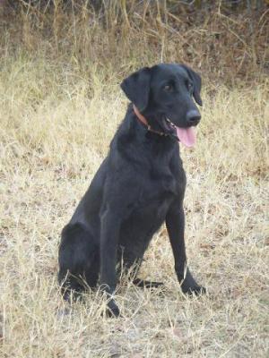 Anderson Ranch's Austin Anderson Ranch's Austin