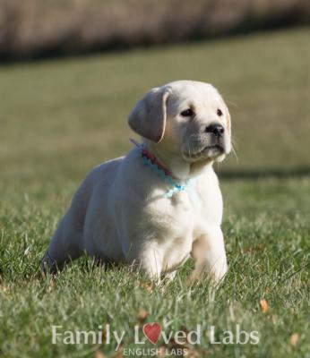Lil' Sarah (Lilly x Storm girl) Lil' Sarah (Lilly x Storm girl)