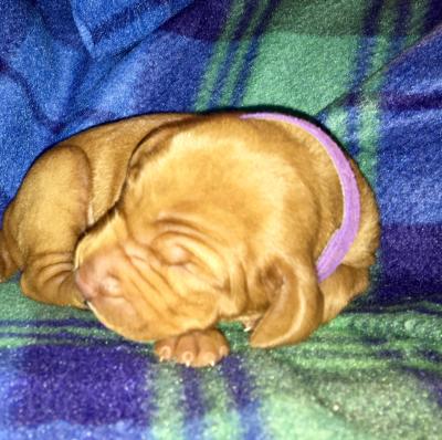 Female available Female available