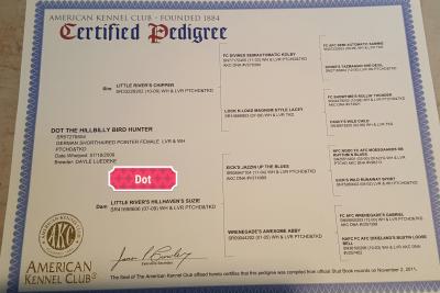 Moms pedigree Moms pedigree