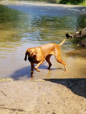 Dam, Sadie Jane Dam, Sadie Jane