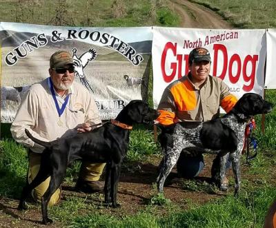 Ace is the black and white patched male on the right side of picture. Ace is the black and white patched male on the right side of picture.