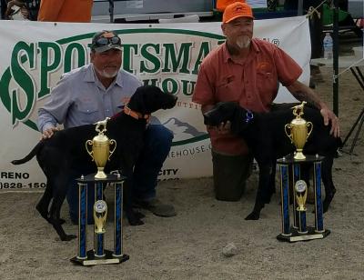 Blue right, Coal left, Blue is hazels father and Coal is Hazels brother, they got first place in double in a US birddog competition. Blue right, Coal left, Blue is hazels father and Coal is Hazels brother, they got first place in double in a US birddog competition.
