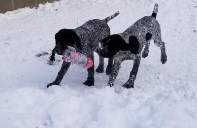 Retrieve Retrieve