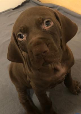 Cooper - Sold Cooper - Sold