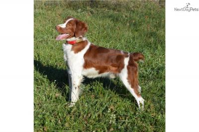 Sire: Buster Sire: Buster