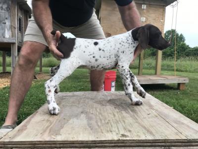 Male 1 Male 1