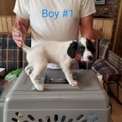 Boy 1 Boy 1