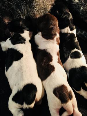 3 males 3 males