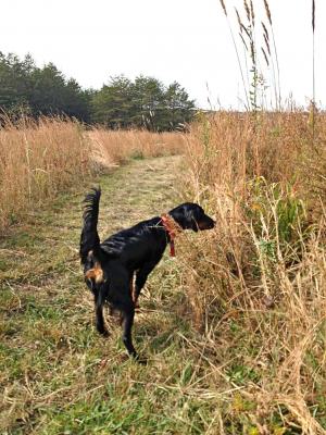Field Training Field Training