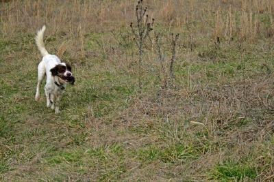 Retrieving Retrieving