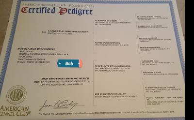 Sires pedigree Sires pedigree