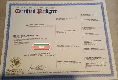 Dams pedigree Dams pedigree