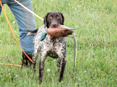 River Ridge Sadie Mae. River Ridge Sadie Mae.