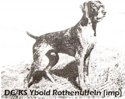 DC/KS YBOLD ROTHENUFFELN GSPCA HOF