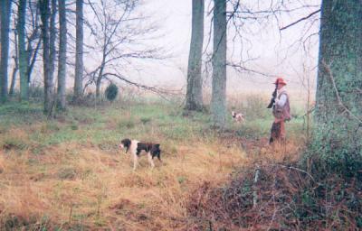 Vick Gamebirds and Hunting Preserve, LLC