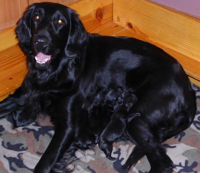 Proud mom and babies Proud mom and babies