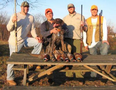 Pittsburgh Steeler Pheasant Hunt Pittsburgh Steeler Pheasant Hunt