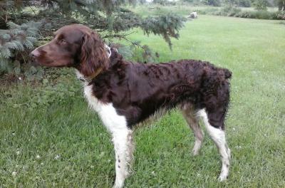 Stud, Power, Endurance, intelligence. Great off switch in the house. Stud, Power, Endurance, intelligence. Great off switch in the house.