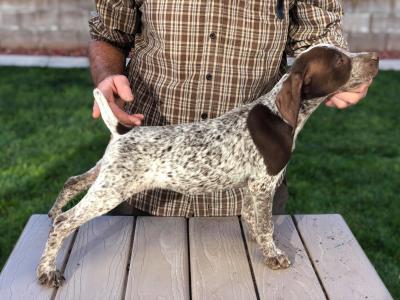 female #3 $1200 female #3 $1200