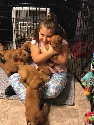 5 weeks - socialization fun 5 weeks - socialization fun