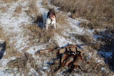 Dad with a nice limit of pheasant from our trip to Iowa this fall. Dad with a nice limit of pheasant from our trip to Iowa this fall.
