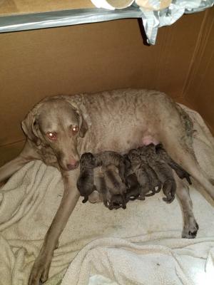 One day old One day old