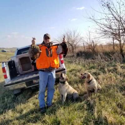 Pheasant hunting with Buddy & Pepper 2020 Pheasant hunting with Buddy & Pepper 2020