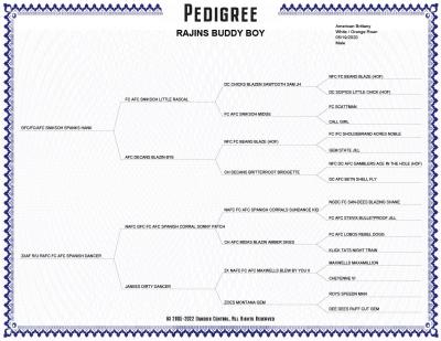 Buddy Pedigree Buddy Pedigree