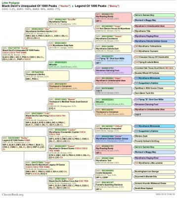 pedigree pedigree