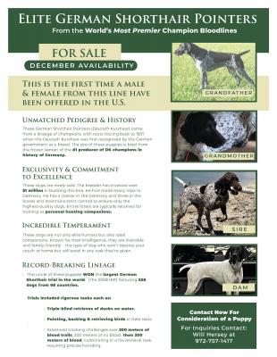 Two females and two males left available. Call for pictures and pricing. Two females and two males left available. Call for pictures and pricing.