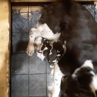 12 hours old. 12 hours old.