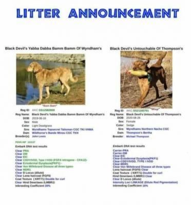 Litter Notice Litter Notice