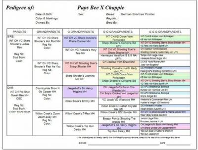 Fathers pedigree Fathers pedigree