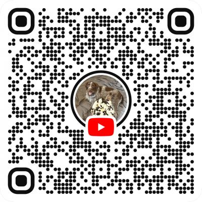 Follow us on YouTube! Follow us on YouTube!