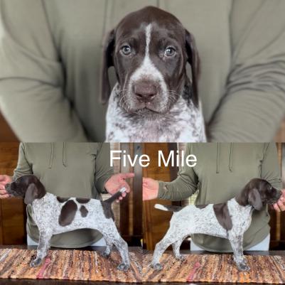 Five Mile Five Mile